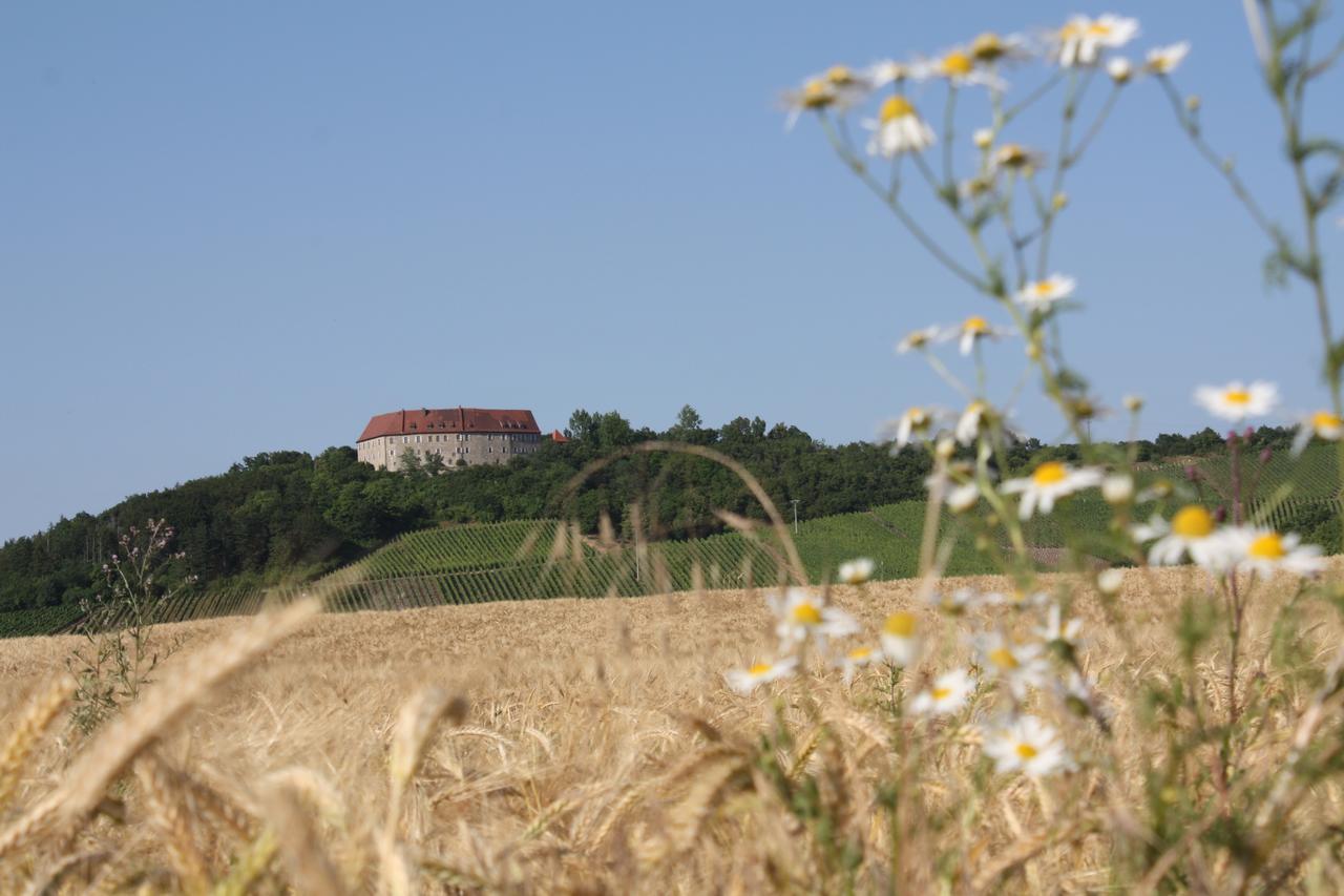 Schwarzer Adler - Hotel Garni Ipsheim Exteriör bild